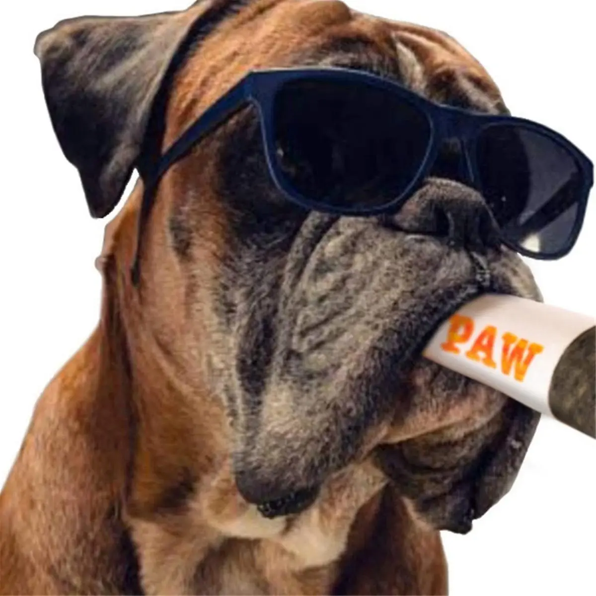 PAW Joint Hondenspeeltje